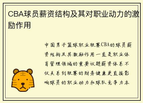 CBA球员薪资结构及其对职业动力的激励作用