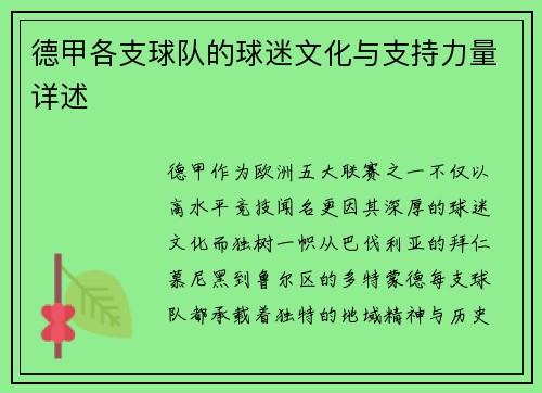 德甲各支球队的球迷文化与支持力量详述